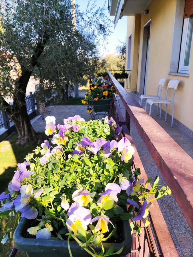 Appartamenti Bellini Bardolino Zewnętrze zdjęcie